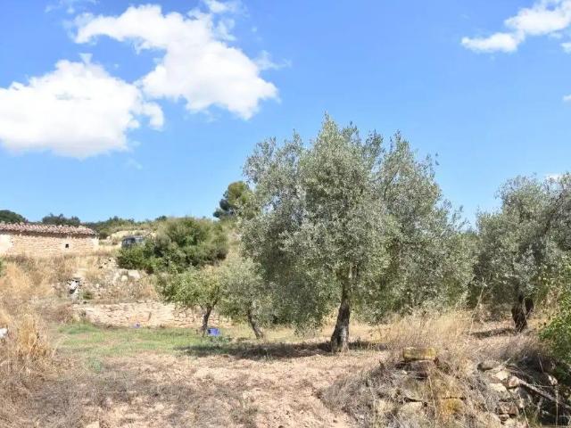 Finca en venta en Matarraña / Matarranya, Mazaleón