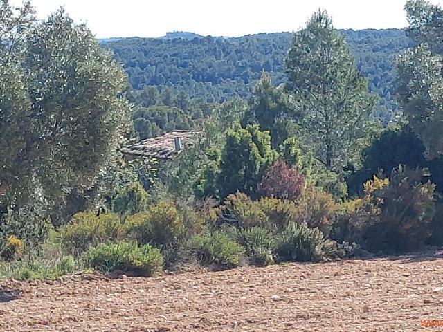 Finca en venta en Matarraña / Matarranya, Mazaleón