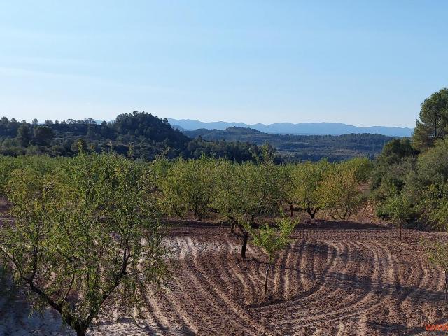 Finca en venta en Matarraña / Matarranya, Mazaleón