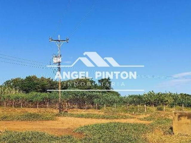 Terreno en venta en Mauroa, Falcón