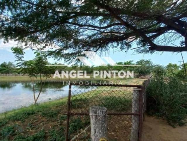 Terreno en venta en Mauroa, Falcón