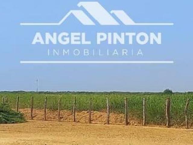 Terreno en venta en Mauroa, Falcón