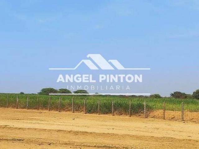 Terreno en venta en Mauroa, Falcón