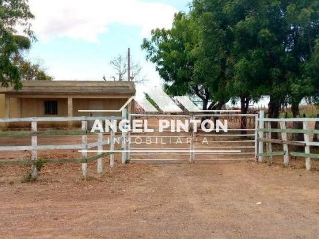 Terreno en venta en Mene De Mauroa