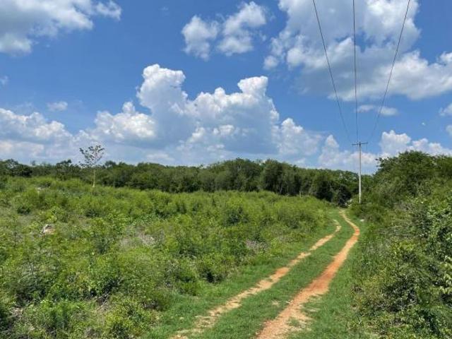 FINCA EN VENTA EN MÉRIDA, TECOH