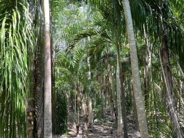 FINCA EN VENTA EN MÉRIDA, TECOH
