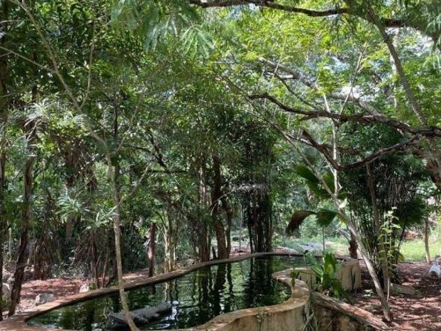 FINCA EN VENTA EN MÉRIDA, TECOH