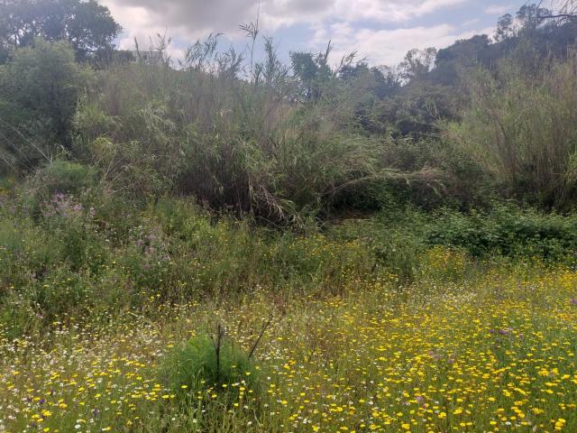 Finca en venta en Mijas, El Albero