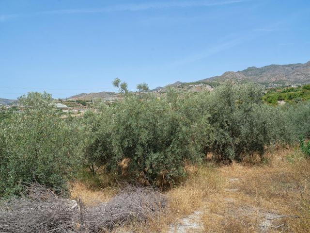 Finca en venta en Molvízar, Granada