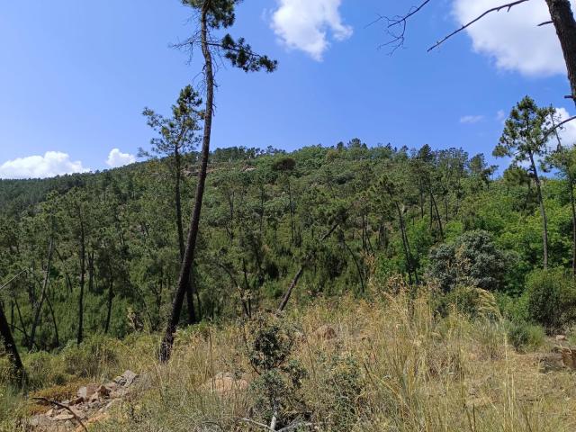 Finca en venta en Monesterio, Badajoz