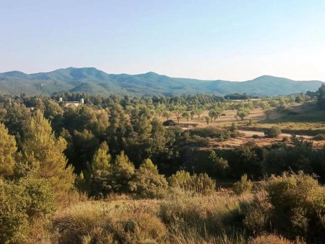 Finca en venta en Matarraña / Matarranya, Monroyo