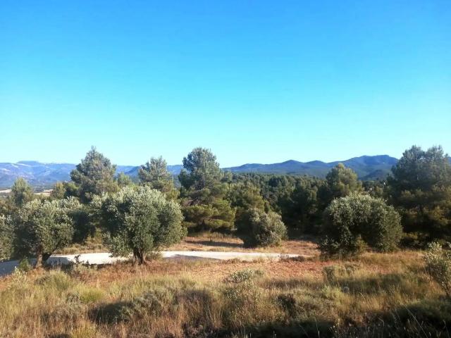 Finca en venta en Matarraña / Matarranya, Monroyo
