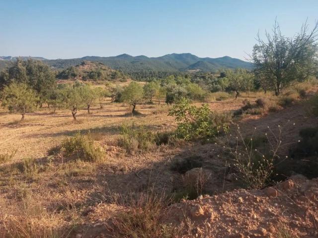 Finca en venta en Matarraña / Matarranya, Monroyo