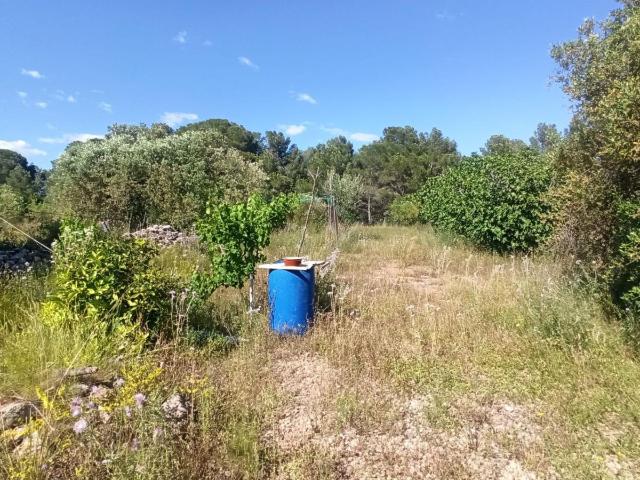 Finca en venta en Mont-roig Del Camp