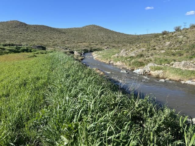 Finca en venta en Montemolín