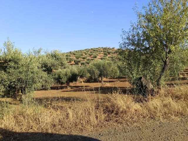 Finca en venta en Montemolín, Extremadura