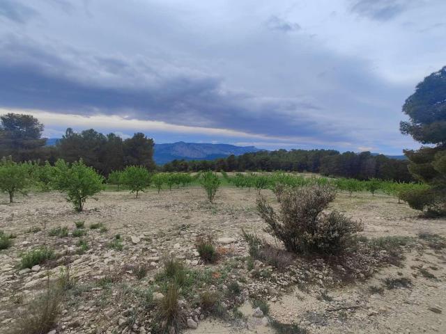Terreno en venta en Río Mula, Murcia