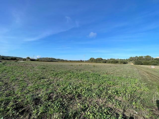 Finca en venta en Pla de Mallorca, Baleares