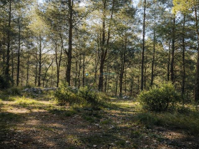 Finca en venta en el Comtat, Valencia