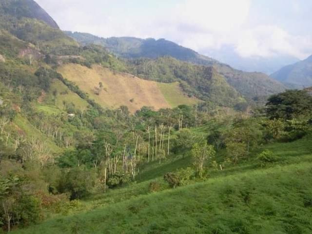 Finca en venta en Boyacá, Occidente