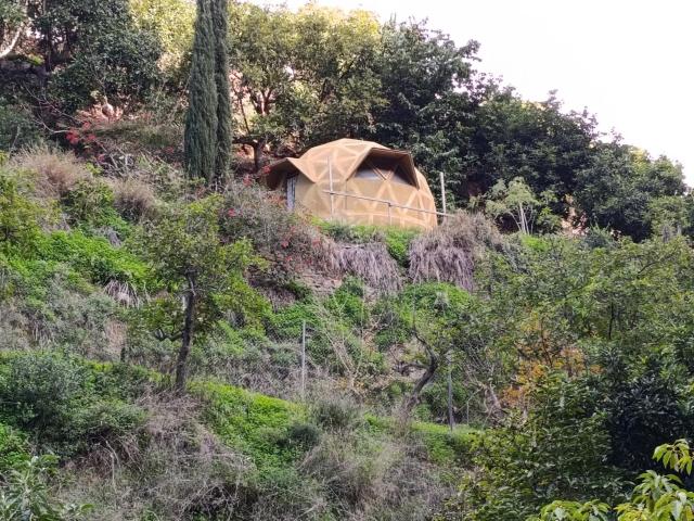 Finca en venta en La Axarquía, Andalucía