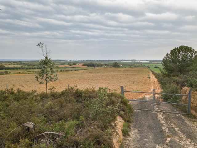 Finca en venta en El Condado, Andalucía