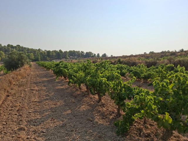 Finca en venta en Terra Alta, Catalunya