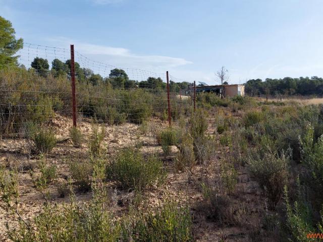 Finca en venta en Bajo Aragón-Caspe / Baix Aragó-Casp, Aragón