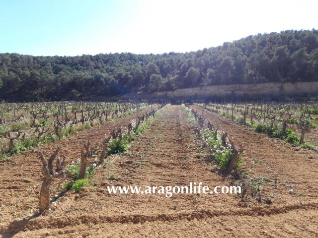 Finca en venta en Terra Alta, Catalunya
