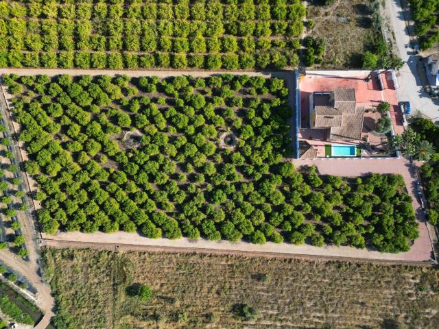 Finca en venta en Orihuela, Valencia