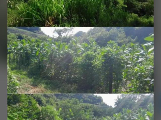 Finca en venta en Sucre