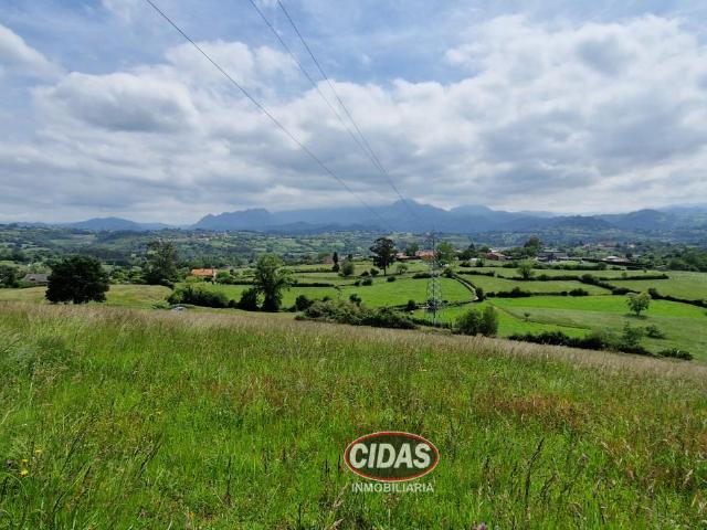 Finca en venta en Oviedo, Villarmosén