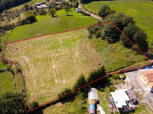 Finca en venta en Oviedo, La Venta Soto