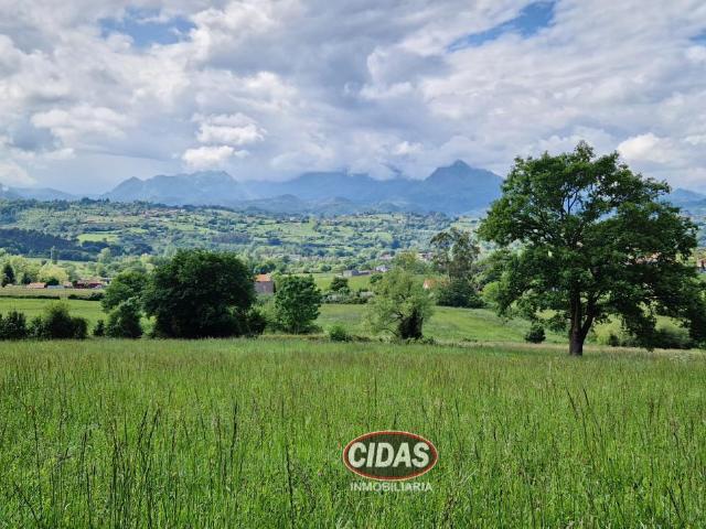 Finca en venta en Villarmosén, Oviedo