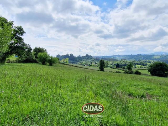 Finca en venta en Villarmosén, Oviedo