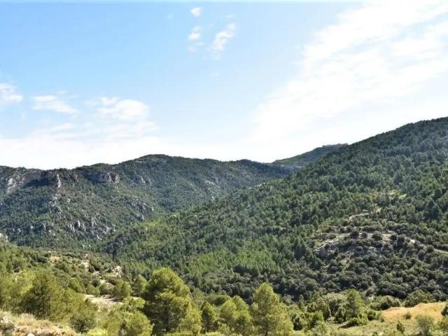 Finca en venta en Peñarroya de Tastavins / Pena-roja de Tastavins, Matarraña / Matarranya