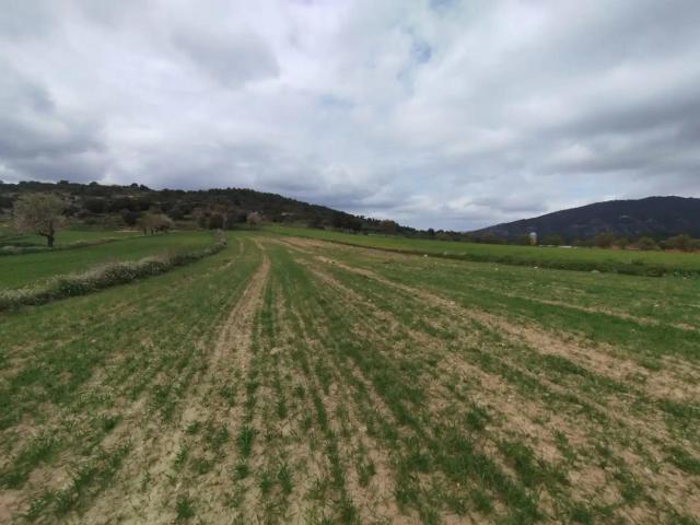 Finca en venta en Matarraña / Matarranya, Peñarroya De Tastavins