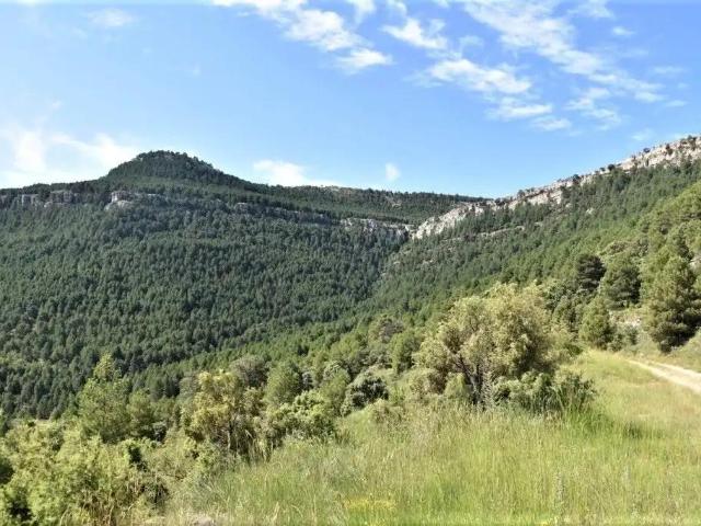 Finca en venta en Matarraña / Matarranya, Peñarroya De Tastavins