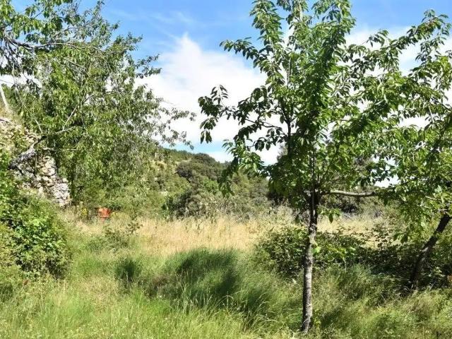 Finca en venta en Peñarroya de Tastavins / Pena-roja de Tastavins, Matarraña / Matarranya