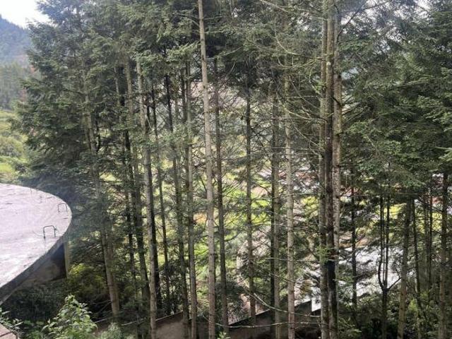 Finca en venta en Piedra Grande