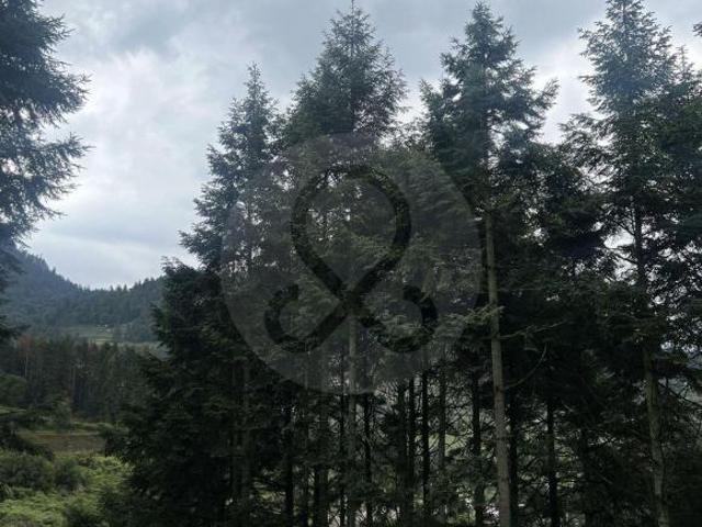 Finca en venta en Piedra Grande