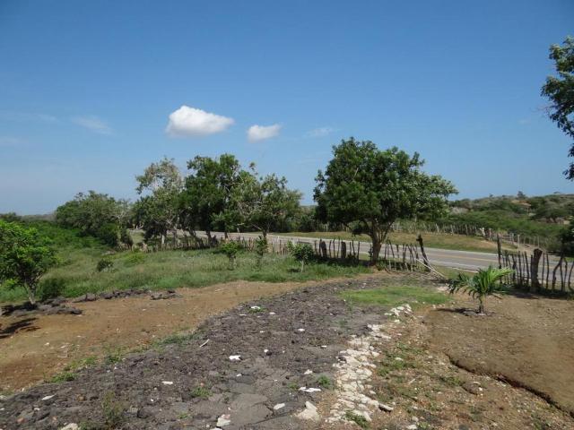Finca En Venta En Piojo En. V185321