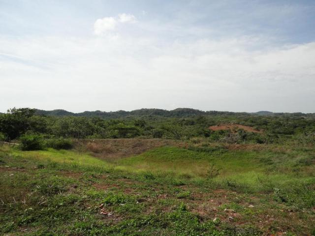 Finca En Venta En Piojo En. V185321