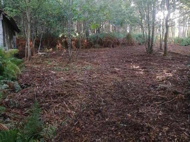 Finca en venta en O Condado, Galicia
