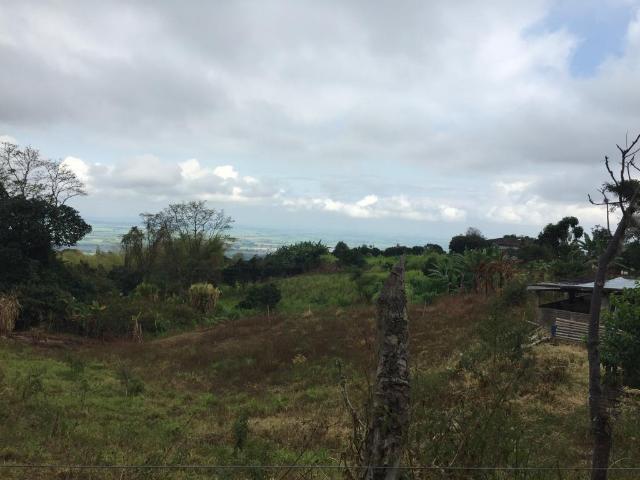 Finca en venta en Sur, Pradera