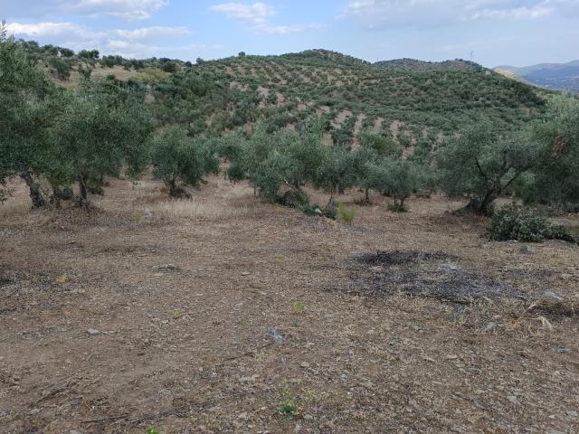 Finca en venta en Puebla Del Maestre