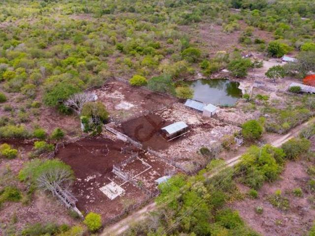 Rancho en venta en Dzilam González, Yucatán