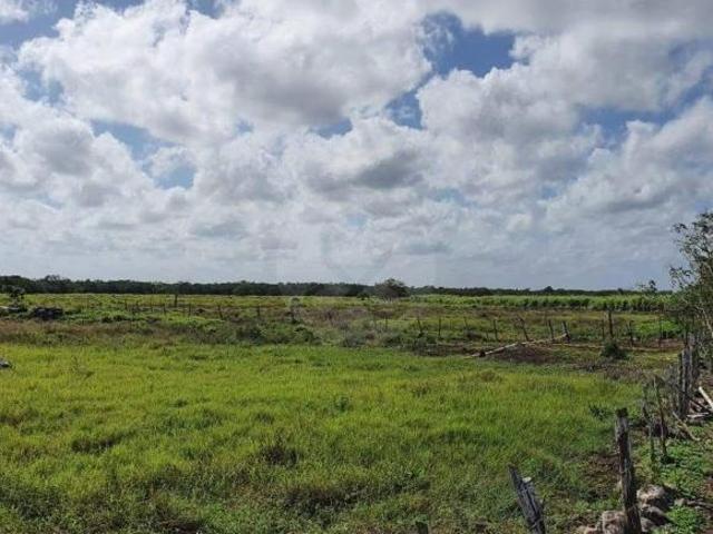 Rancho en venta en Dzilam González, Yucatán