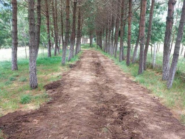 Rancho en venta en Zacatlán, Puebla