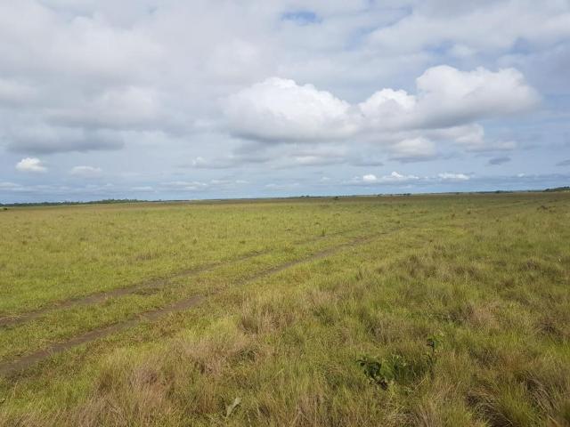 Finca En Venta En Puerto Carreno En Puerto Carreno V276525